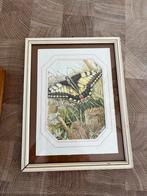 Ingelijste vlinderprint, Antiek en Kunst, Ophalen of Verzenden