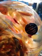 Mooie handgeblazen vazen. Van de Blaaspijp., Huis en Inrichting, Woonaccessoires | Zuilen en Pilaren, Ophalen of Verzenden, Zo goed als nieuw