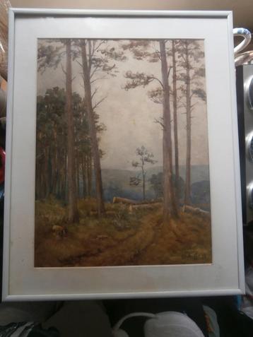 Mooie gesign. Aquarel in Mooie Lijst, Gez of omgevallen bome beschikbaar voor biedingen