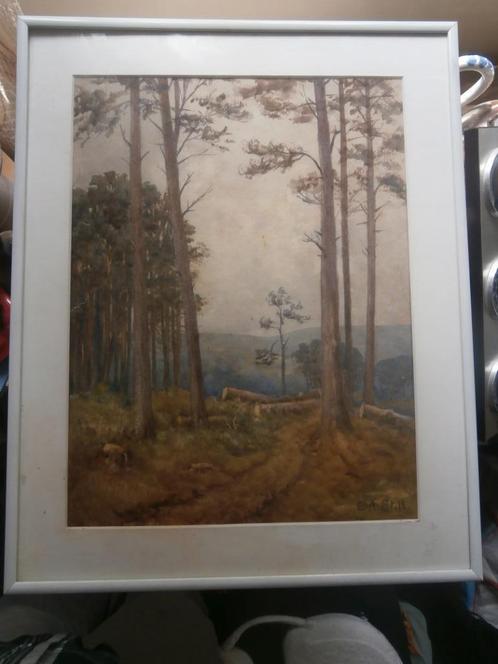 Mooie gesign. Aquarel in Mooie Lijst, Gez of omgevallen bome, Huis en Inrichting, Woonaccessoires | Schilderijen, Tekeningen en Foto's