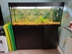 Juwel Aquarium Rio 240 Led, Ophalen, Zo goed als nieuw, Leeg aquarium