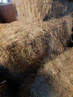 Hooi, Dieren en Toebehoren, Dierenvoeding, Ophalen, Vee