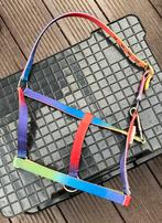 Regenboog halster maat pony, Ophalen of Verzenden, Zo goed als nieuw, Overige soorten