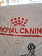 Hondenvoer van Royal canin, Dieren en Toebehoren, Dierenvoeding, Ophalen, Hond