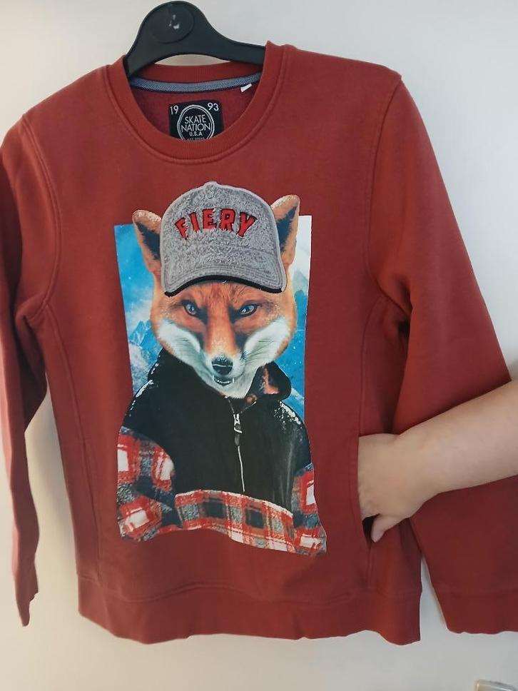 rode trui met vos 158/164, Kinderen en Baby's, Kinderkleding | Maat 158, Zo goed als nieuw, Jongen, Trui of Vest, Ophalen of Verzenden