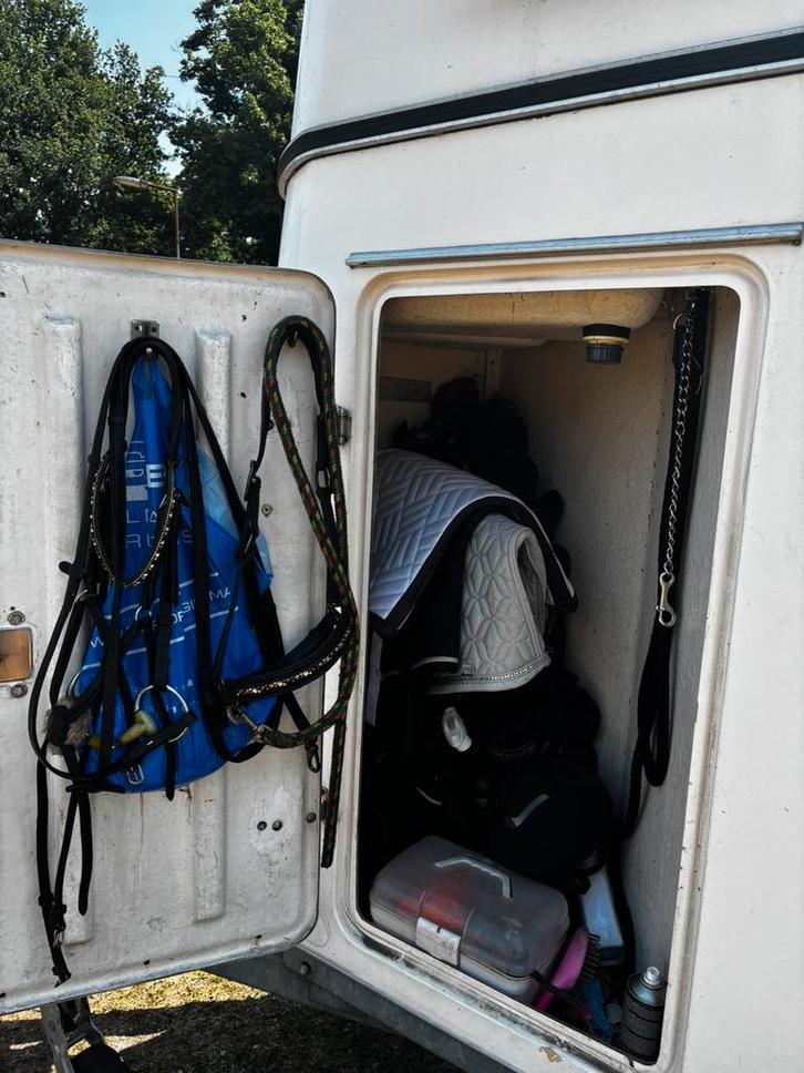 Weijer 2 paards, Dieren en Toebehoren, Paardrijkleding, Zo goed als nieuw, Schoeisel, Overige soorten, Ophalen of Verzenden