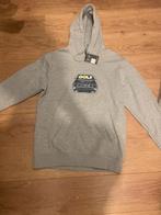 limited edition volkswagen golf x Primark trui!, Kleding | Heren, Nieuw, Overige maten, Ophalen of Verzenden, Grijs