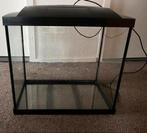 Compleet Superfish Aquarium met Benodigdheden, Dieren en Toebehoren, Ophalen, Gebruikt, Leeg aquarium