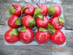 12-delige Kerstversiering set -  Glanzend rode appeltjes, Diversen, Kerst, Ophalen of Verzenden, Nieuw