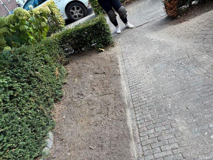 Tuinman aangeboden voor wilde tuinen, Tuin en Terras, Gras en Kunstgras, Nieuw, Gras, 20 m² of meer, Ophalen of Verzenden