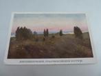 Kootwijk circa 1950 ? Jeneverbesstruiken Staatsbosbeheer, Verzamelen, Verzenden, 1940 tot 1960, Ongelopen