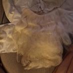 Sinterklaas Baardstel, Diversen, Sinterklaas, Ophalen of Verzenden, Zo goed als nieuw