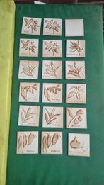 vintage wandtegels kruiden afbeeldingen, Ophalen