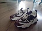 Sneakers Steve madden 37, Kleding | Dames, Ophalen, Overige kleuren, Steve Madden, Sneakers of Gympen