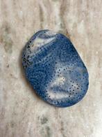 Versteend koraal, Verzamelen, Mineralen en Fossielen, Ophalen of Verzenden