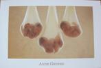 Anne Geddes - AGC049 - babies in zakjes - 2003 - nieuw, Verzamelen, Ansichtkaarten | Themakaarten, Verzenden, 1980 tot heden, Ongelopen