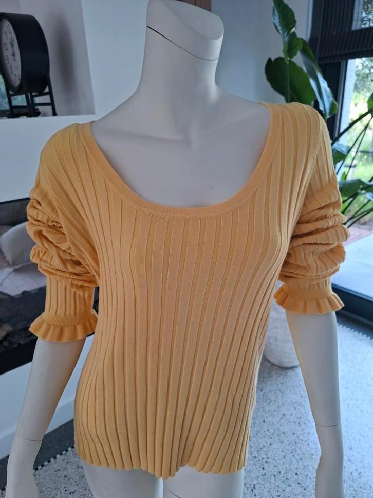 Nieuwe Fabienne Chapot gele trui vierkante hals xl 44, Kleding | Dames, Truien en Vesten, Nieuw, Maat 42/44 (L), Geel, Ophalen of Verzenden