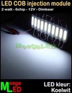 LED COB licht module 12V 2W - 6 chip – IP54 – Wit 6500K, Ophalen of Verzenden, Nieuw, LEDmodule verlichting
