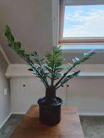 Kunstplant, Ophalen, Zo goed als nieuw