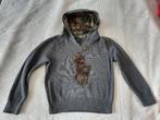 Polo Ralph Lauren hoodie, grijs, maat 146, Trui of Vest, Ophalen of Verzenden, Zo goed als nieuw, Polo Ralph Lauren