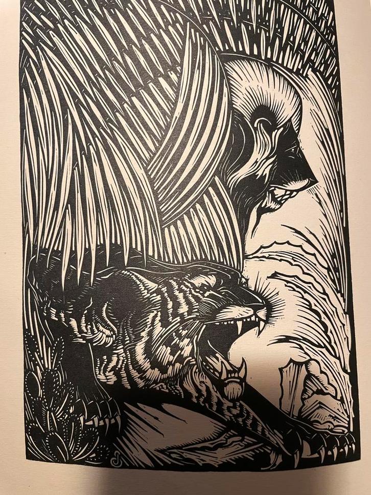 ! Jan Schonk 12 prachtige oude Art Deco houtsnedes !, Antiek en Kunst, Kunst | Etsen en Gravures, Verzenden