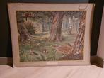 Mooie schoolplaat In het Bosch, Antiek en Kunst, Ophalen, Natuur en Biologie