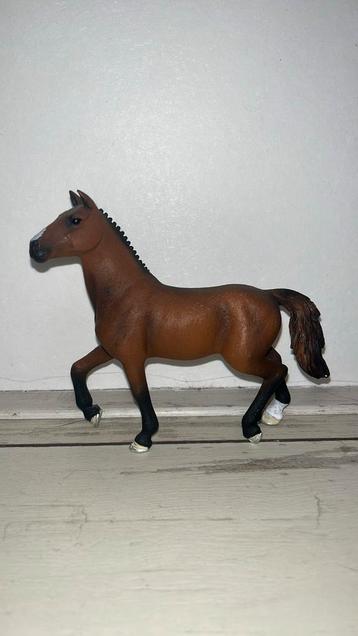 Schleigh paard beschikbaar voor biedingen