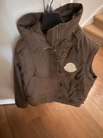River Woods bodywarmer, Bruin, River Woods, Maat 42/44 (L), Ophalen of Verzenden