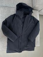 Winterjas ZARA heren, Maat 52/54 (L), Zara, Blauw, Nieuw