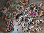 Manege paarden playmobil, Ophalen, Zo goed als nieuw, Complete set