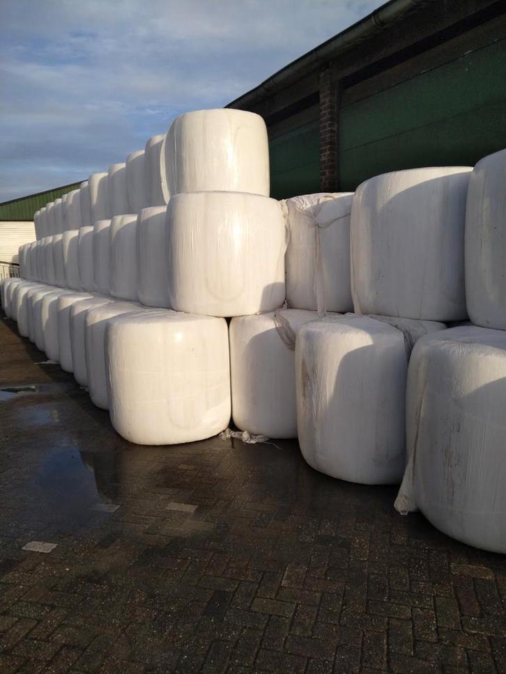 diverse maisbalen, Zakelijke goederen, Agrarisch | Veevoer, Ophalen of Verzenden