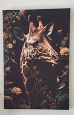 canvasdoek, Ophalen
