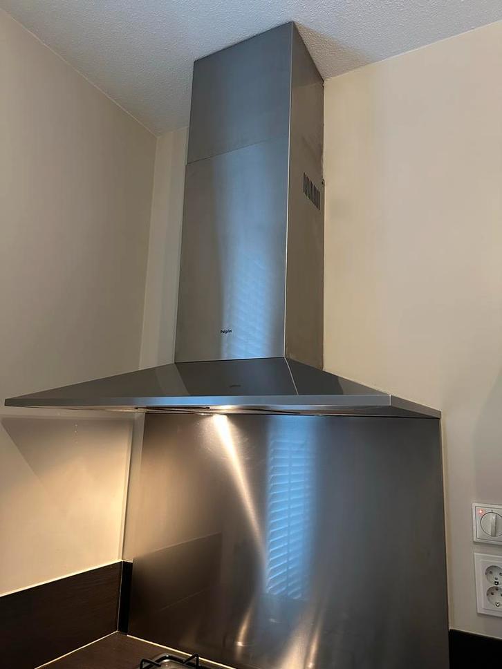 Pelgrim Wandschouw afzuigkap, Witgoed en Apparatuur, Afzuigkappen, Gebruikt, Vrijstaand, Wandschouwkap, 400 tot 600 m³ per uur