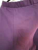 Paarse Rok van Shoeby - Maat M/L, Maat 38/40 (M), Paars, Ophalen of Verzenden, Zo goed als nieuw