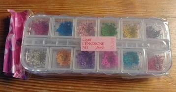 Gedroogde Bloem beschikbaar voor biedingen