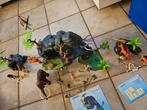 Playmobil speelset prehistorie, Kinderen en Baby's, Speelgoed | Playmobil, Ophalen of Verzenden