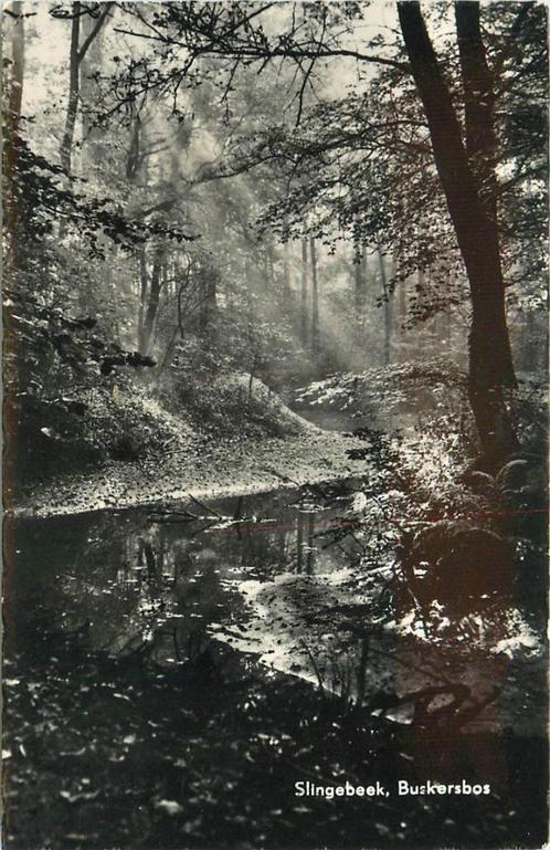 (387-083-045) Winterswijk Buskersbos, Verzamelen, Ansichtkaarten | Nederland, Gelderland, Voor 1920, Verzenden