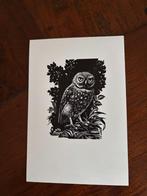 Houtgravure met steenuiltje, Ophalen of Verzenden