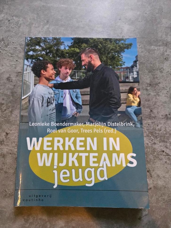 Werken in Wijkteams Jeugd, Boeken, Studieboeken en Cursussen, Ophalen of Verzenden