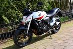 Honda HORNET CB 600 F | CB600F Edition (bj 2010), Motoren, 4 cilinders, Bedrijf, Meer dan 35 kW, 599 cc