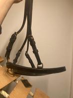 Broek maat mini, Dieren en Toebehoren, Paarden en Pony's | Hoofdstellen en Tuigage, Ophalen of Verzenden, Nieuw, Overige soorten