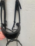 Hoofdstellen met gecombineerde en lage neusriem, Dieren en Toebehoren, Paarden en Pony's | Hoofdstellen en Tuigage, Ophalen of Verzenden
