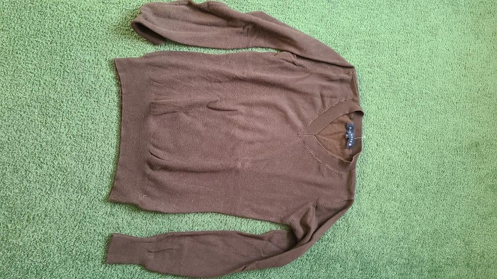 V hals truitje, Ophalen of Verzenden, Gedragen, Maat 38/40 (M), Bruin