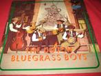 LP, The Dutch Bluegrass Boys, Ophalen of Verzenden, 1960 tot 1980, Zo goed als nieuw, 12 inch