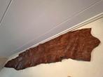 4 meter lange huid van een TIJGER PYTHON in goede conditie, Verzamelen, Dierenverzamelingen, Ophalen, Gebruikt, Reptiel of Amfibie