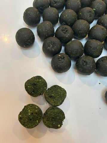 Mossel boilies speciaal beschikbaar voor biedingen
