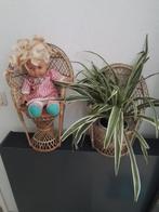 2 x rieten poppenstoeltjes or planten stoeltjes samen 8 euro, Ophalen of Verzenden, Zo goed als nieuw, Overige typen
