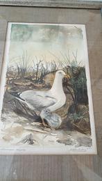 antieke tekening, aquarel Meeuw gesigneerd Klinkenberg '45, Antiek en Kunst, Ophalen of Verzenden