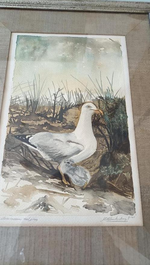antieke tekening, aquarel Meeuw gesigneerd Klinkenberg '45, Antiek en Kunst, Kunst | Schilderijen | Klassiek, Ophalen of Verzenden
