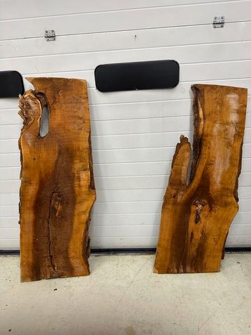 Live edge boomstamplanken  – perfect voor epoxy tafels beschikbaar voor biedingen